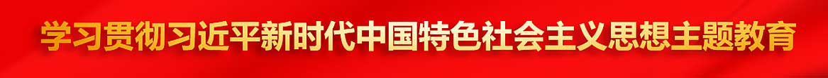 学习贯彻习近平新时代中国特色社会主义思想主题教育官方网站